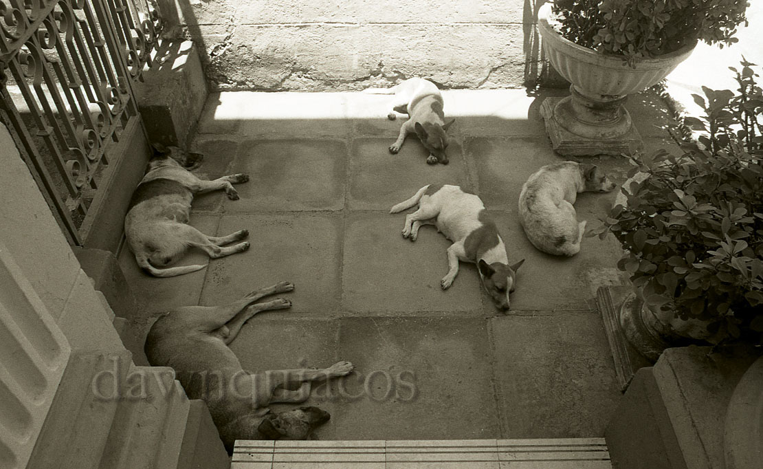 cuba, 2010