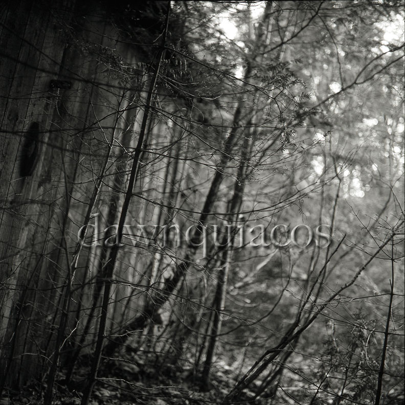 haunted - st. agathe, quebec, 2001